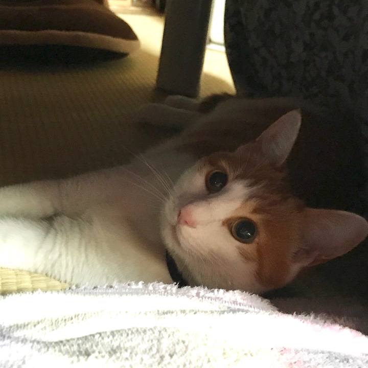 5fa60a0c 30b0 417e a977 0afb40816633