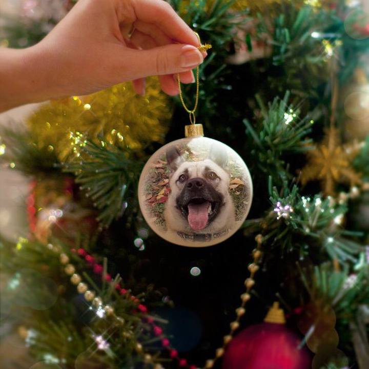 5fa61e9f c980 402b ba29 f6ed76fa15d7