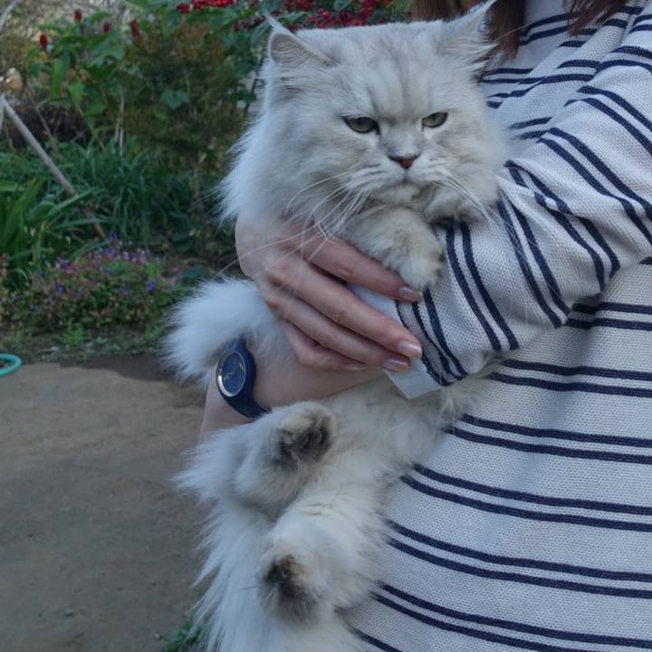 5fa6a8d9 502f 40fa 8ba3 1ec696864613