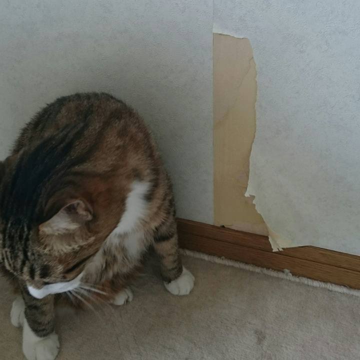 5fa78da6 c150 4a5e ade2 97c9c28abfb9