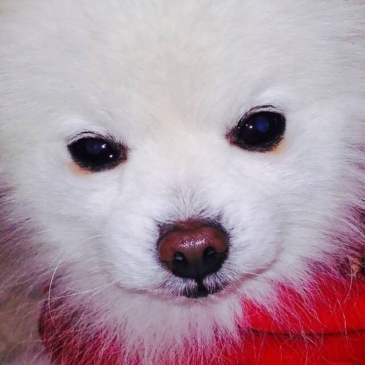 5fa7cdf8 ef12 440d b2da 53c654126f30