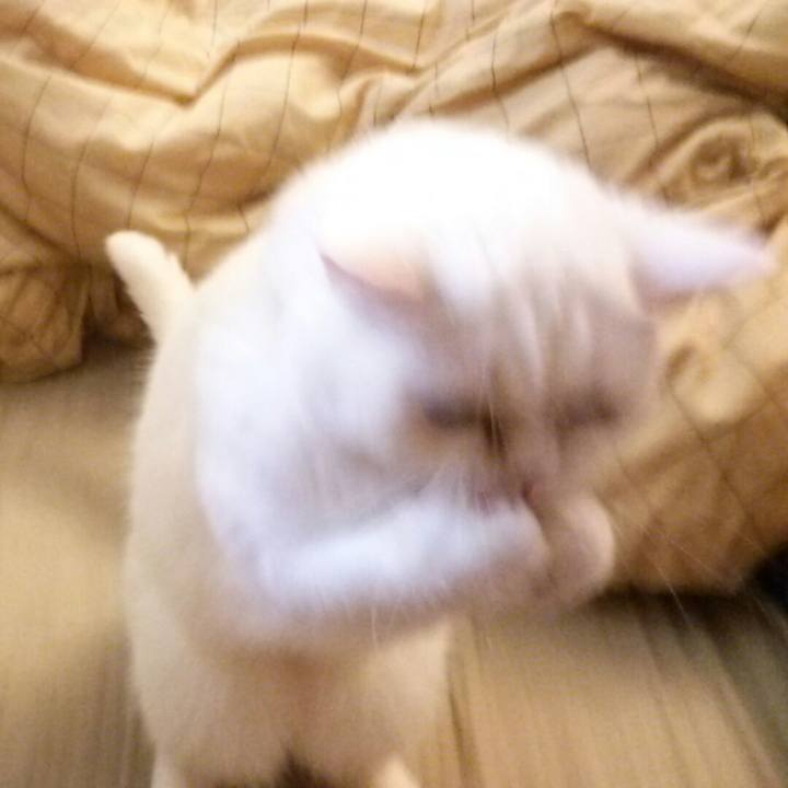 5fa80a5d dfc3 4d0e bb57 faa44a6c5ad5