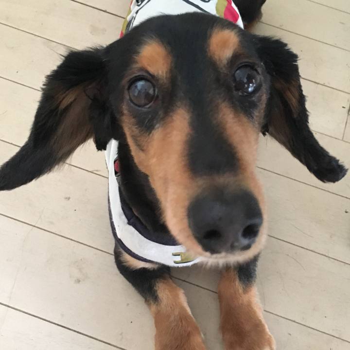 5fa815bf aeca 4bca b76b f6f284bda518