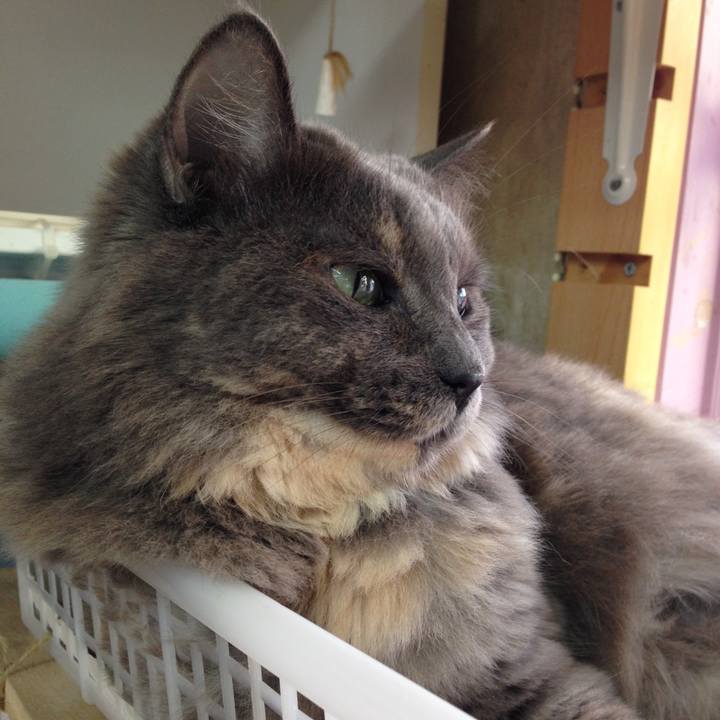 5fa89d66 6db9 4636 8fdd 048f2f5cef85