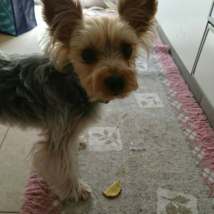 5fa947eb 2fda 451d 8579 090f003cf451