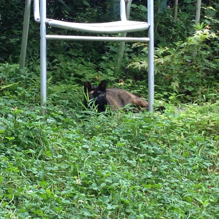 5fa989c9 4a6e 459a a6b6 eb690703e06f