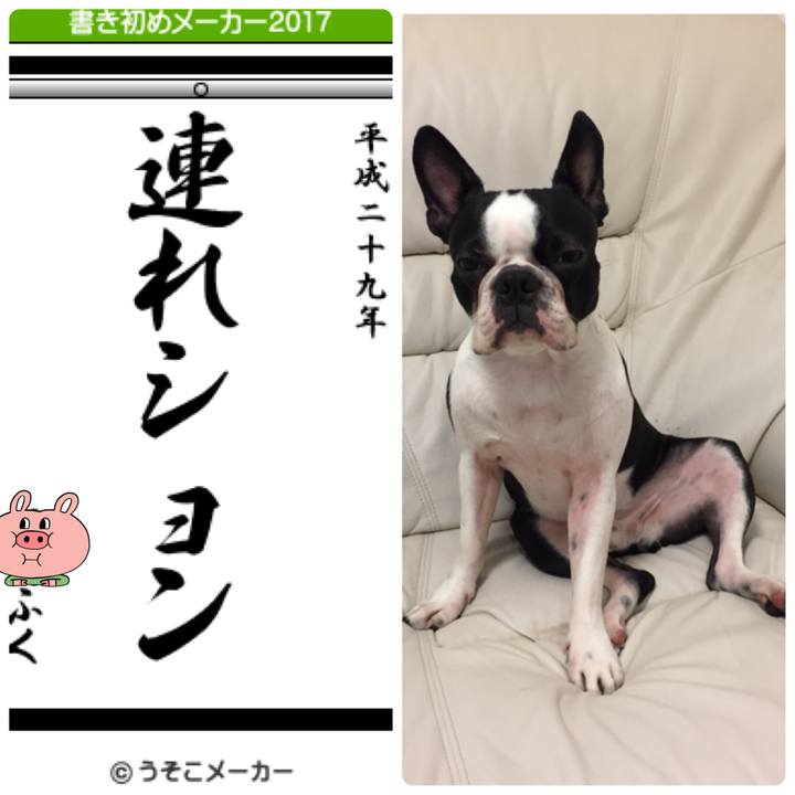 5fa99a17 a4e6 4668 b280 a9fde8eccb20