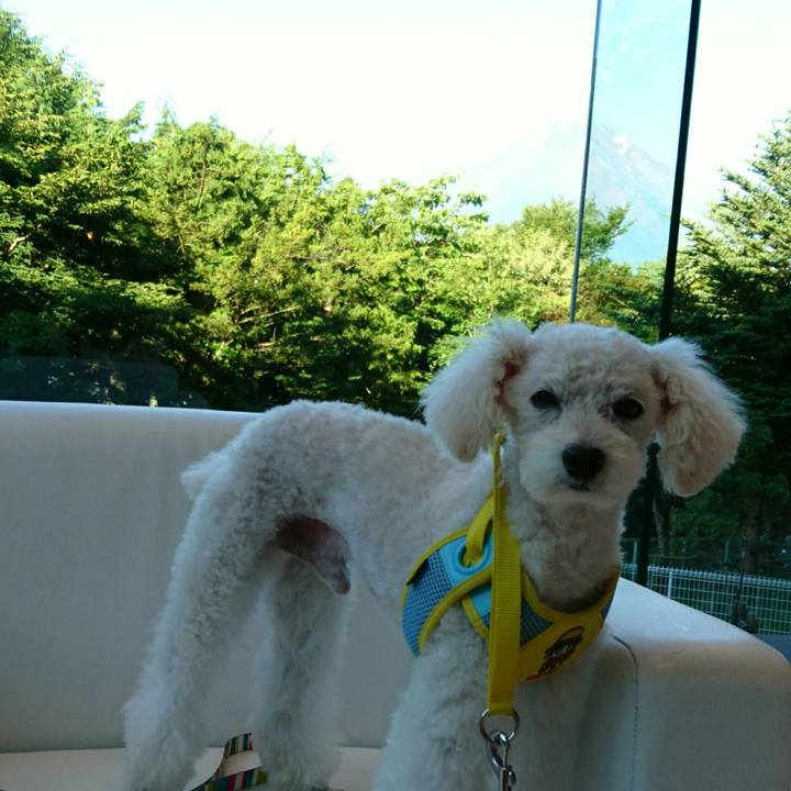 5faa0a39 7994 4346 b0c4 536177506df0