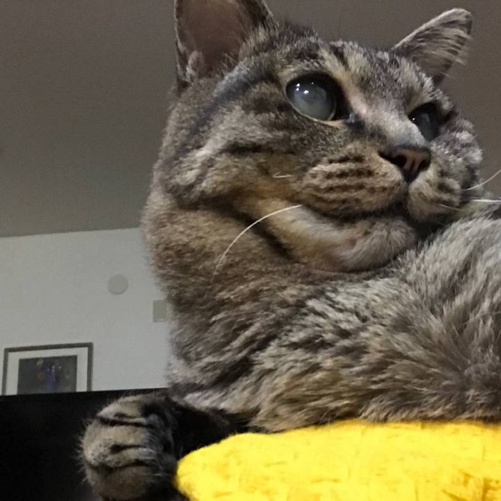 5fab3694 018b 4ae4 a38f fefa8599f2b4