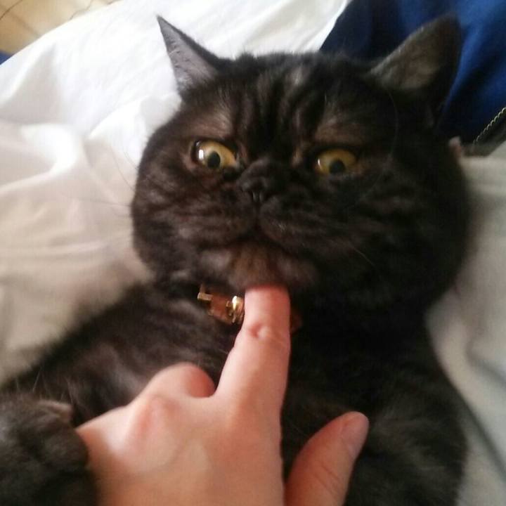 5fab4a8b aba9 484d aae8 e19594021c1e