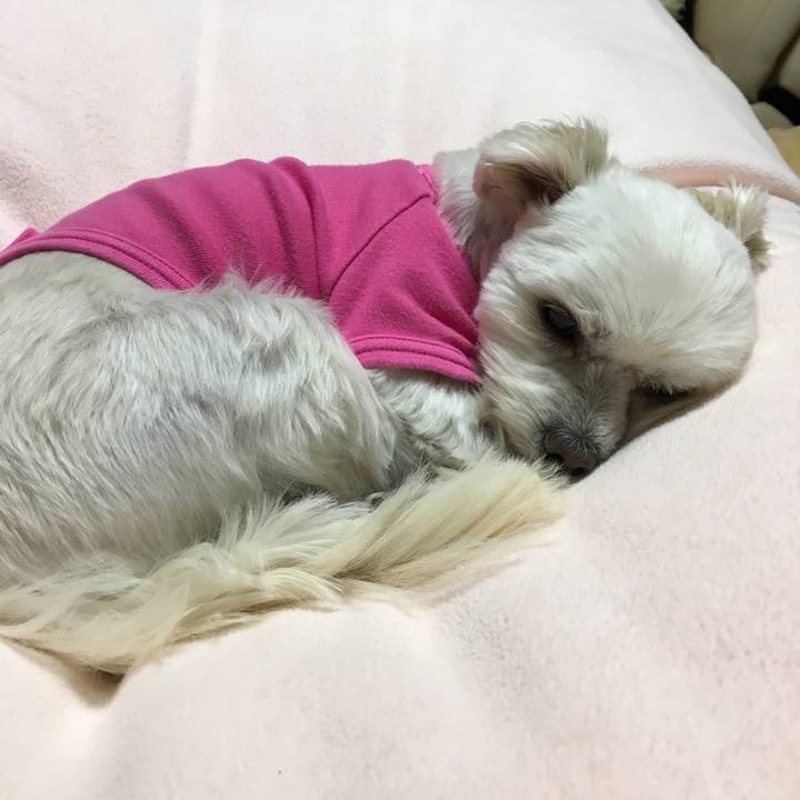 5fac98a6 30af 49b7 a859 ce43b1124299