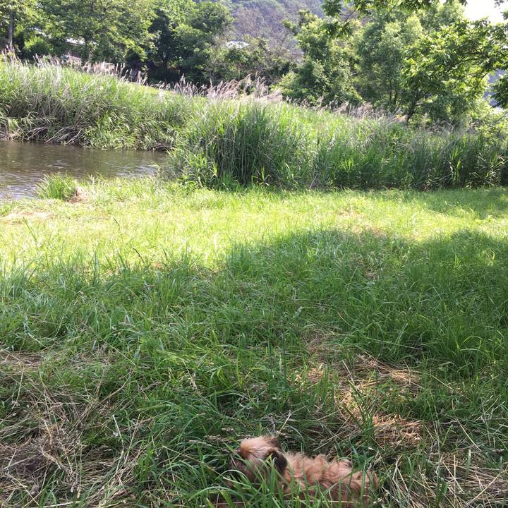 5facbc6b 659b 41df a3c3 09b45163e256