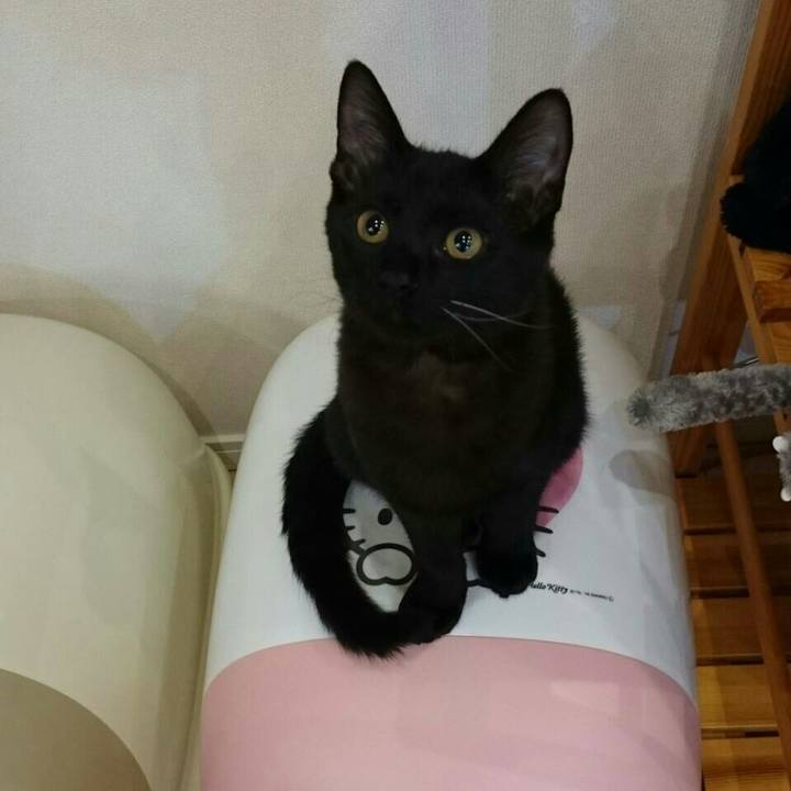 5facc5c6 1e86 4625 a5a7 d517f588e56c