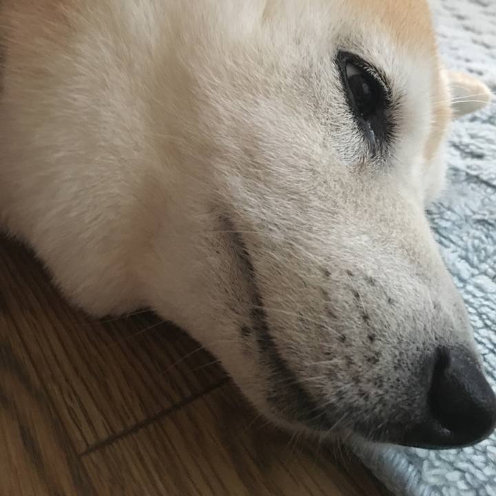 5fae0d20 f97d 43f5 9eff bb53f8835fca