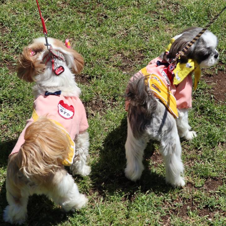 5fae1e83 2c19 4ad2 bca0 596a2eb7276d