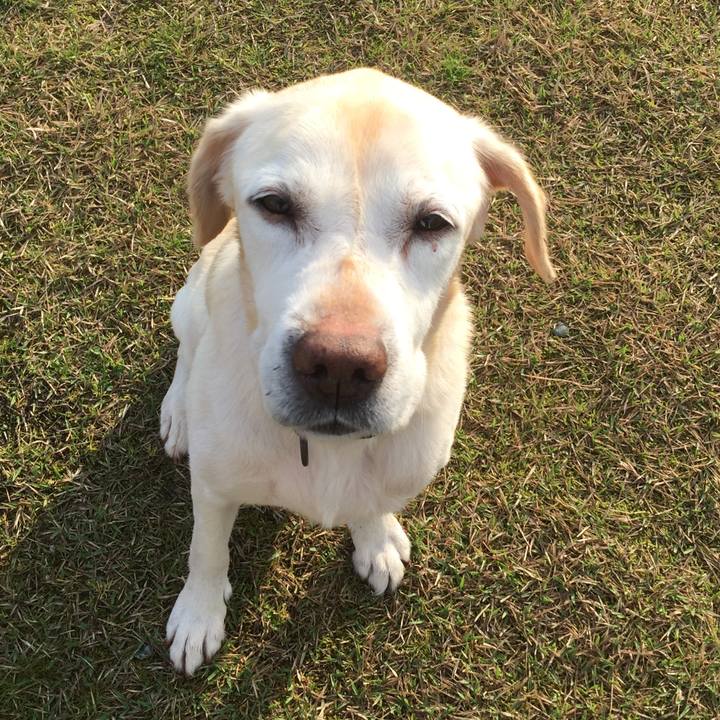 5fae4c45 2e7f 4322 8b7f 61ac8e2f6068