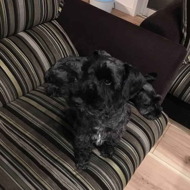 5fafc38a 54f9 4bc1 b344 9c3bf1ccab21