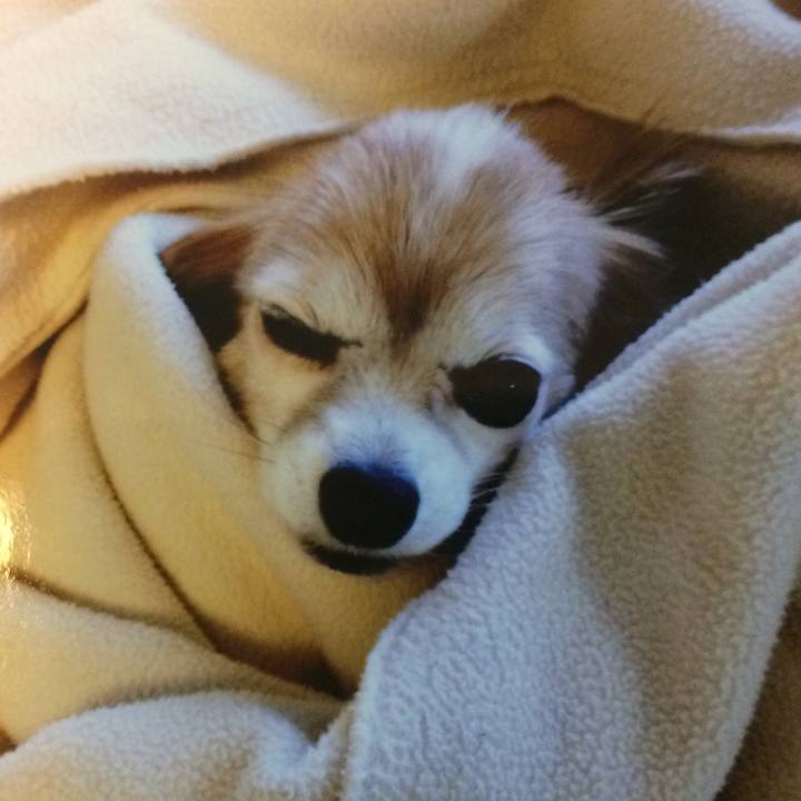 5fb05809 fd47 411e 8a10 9ea5dff1889f