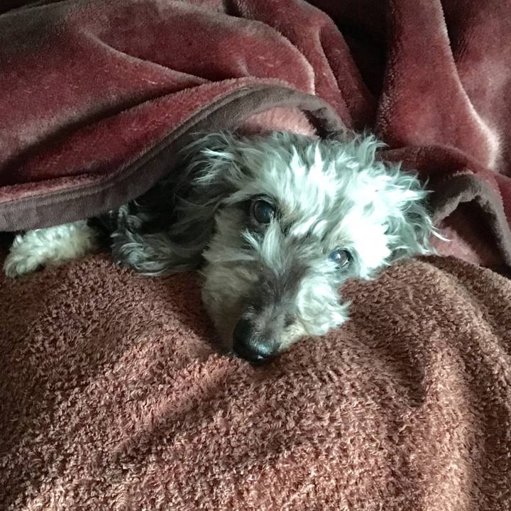 5fb069d1 fbca 431f 90d7 0edba002328d