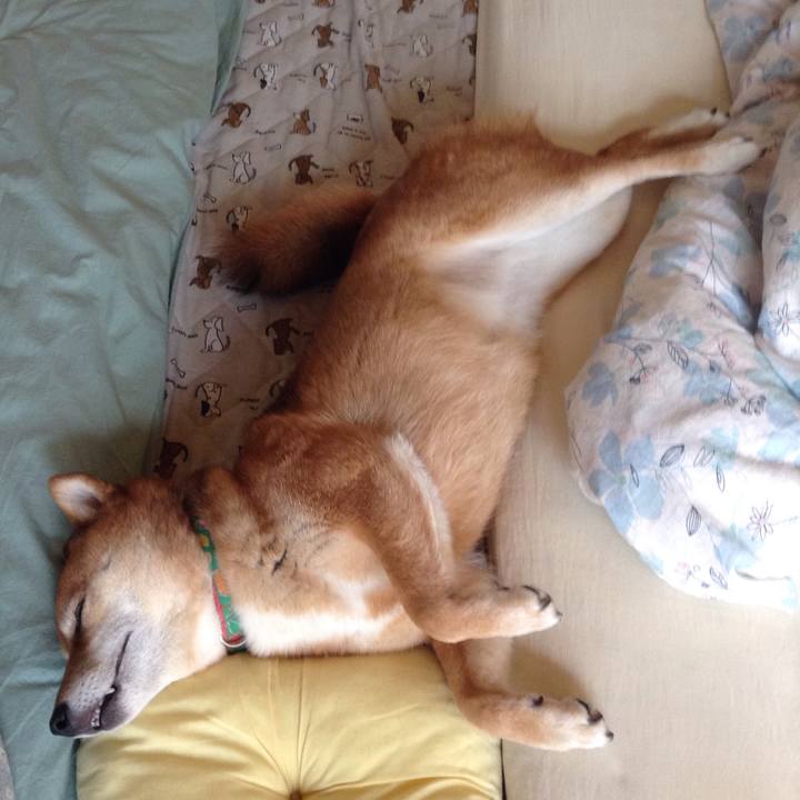 5fb09904 8826 447f 89be 94472c0d01f1