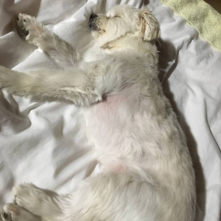 5fb104eb 7882 41f1 9ed8 d1dd8c80d386