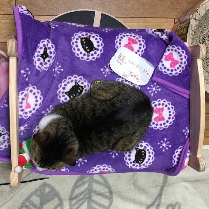 5fb109e9 75cf 4b3a a588 0455a15743fe