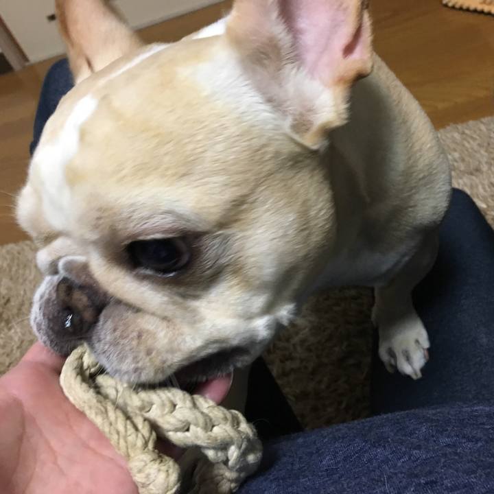 5fb14a8e 1f8c 45ff 9733 412efb474d92