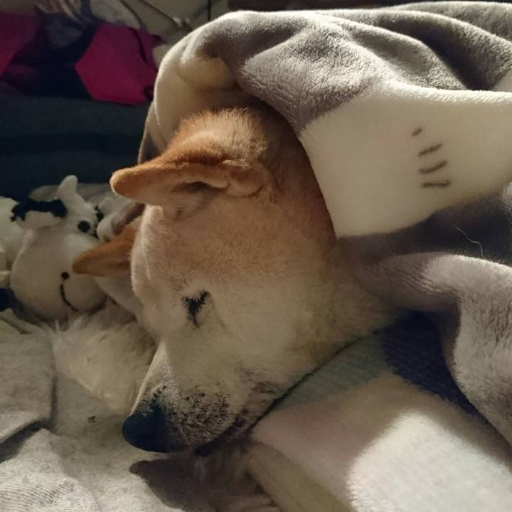 5fb1fd4d b083 421c 8fce b4000e4cb8b7