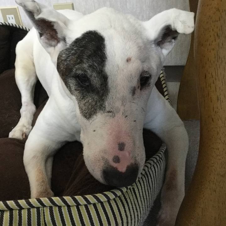 5fb27f83 20f0 4e82 a3da 6db97c9b1a17