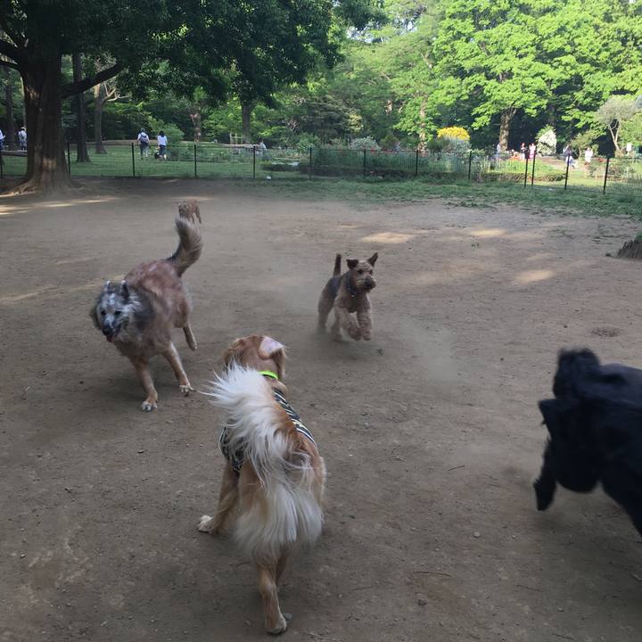 5fb2d62f 3e49 4d00 a8b3 39828bfc6e27