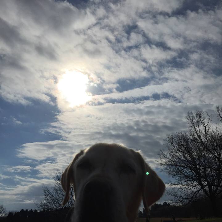 5fb338b3 4450 4698 a751 21e53369ad1c