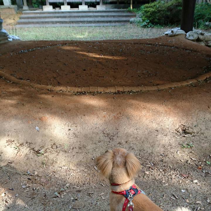 5fb39ac8 bc7b 433b 9cd8 09c46dc9b354