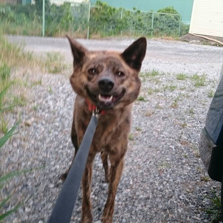 5fb3d5f9 457a 4e23 919f 61e7e80d5f09