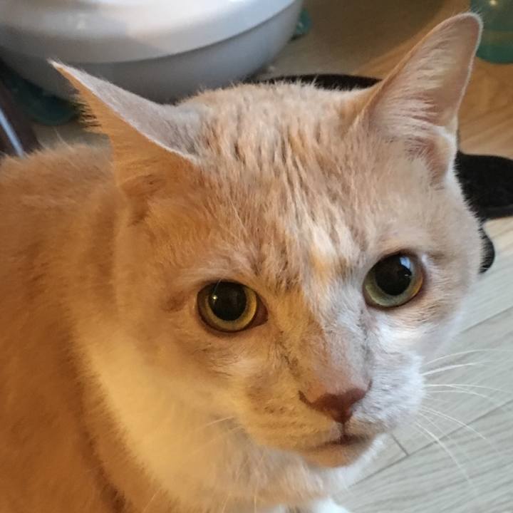 5fb41b86 f629 4e99 a48b 1a37143e1f61