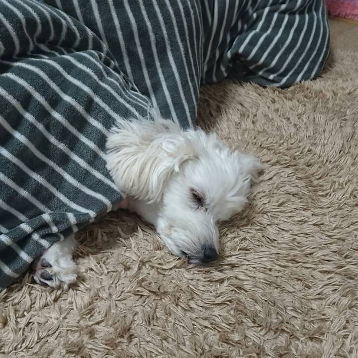 5fb5bd90 4133 4303 8cf6 d37a6d260387