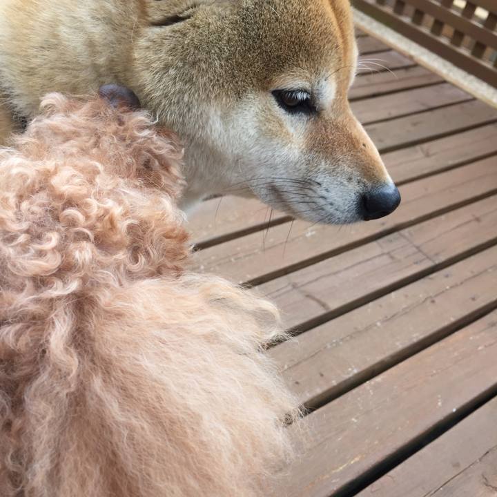 5fb62436 be4f 45ae 8c6f ec13569a2b6e