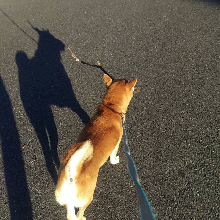 5fb682ce 8f19 4560 88ae 58b808f7f13a