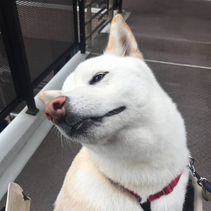 5fb6b148 2b45 4ba5 afd3 7ddbd4a103dc