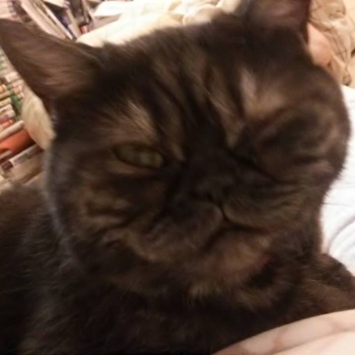 5fb74601 cb3f 433d 8190 2906c4873828