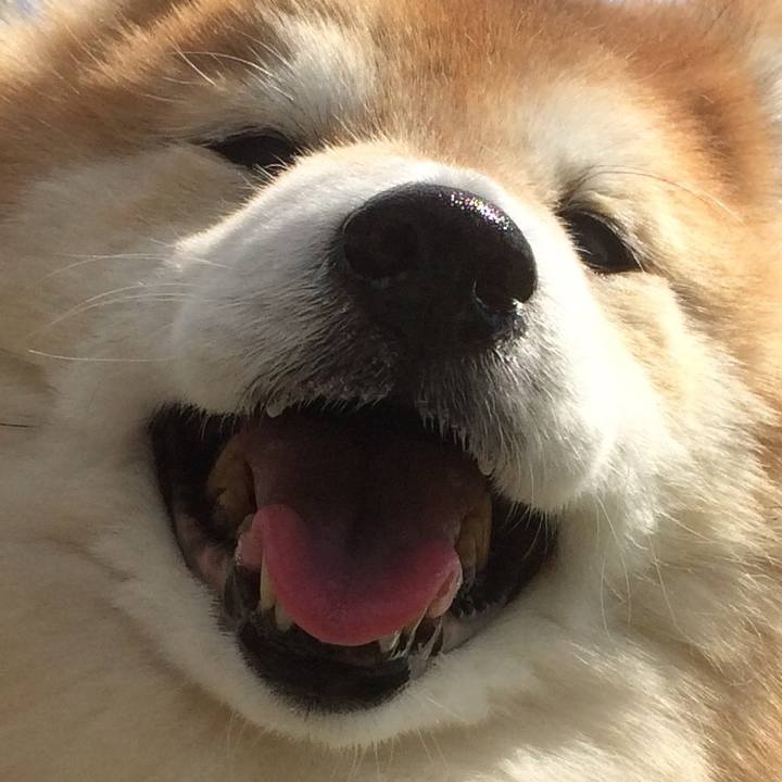 5fb7d24c 0b03 4acc aa99 a46895cce5ad