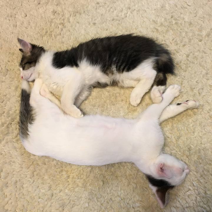 5fb845de 0508 4d8a 926d a504e1824e6f