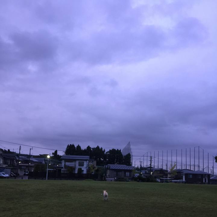 5fb8620e 98a5 48dd a148 0bb92a2b2dd3