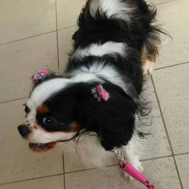 5fb8660a 65bb 454c ab4c ea75656ad8e3