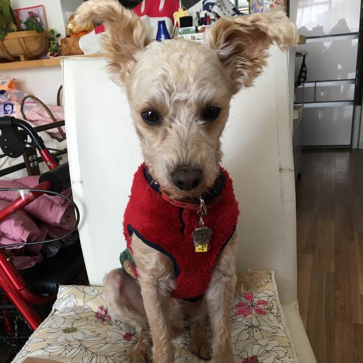 5fb8eeb6 3816 4b93 a9a2 d6259a6bb8e1