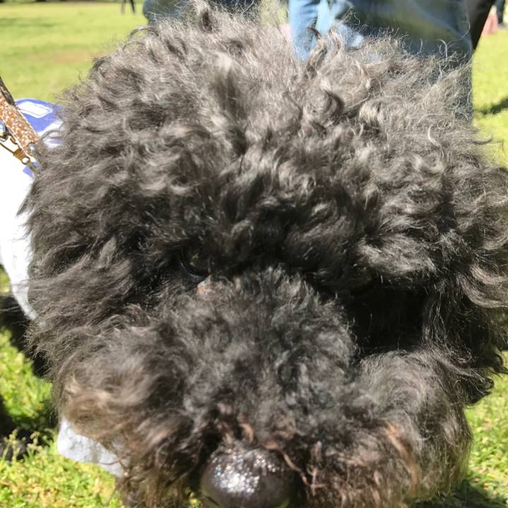 5fb92cad 7c2b 4151 8eb3 eb04342a5bed