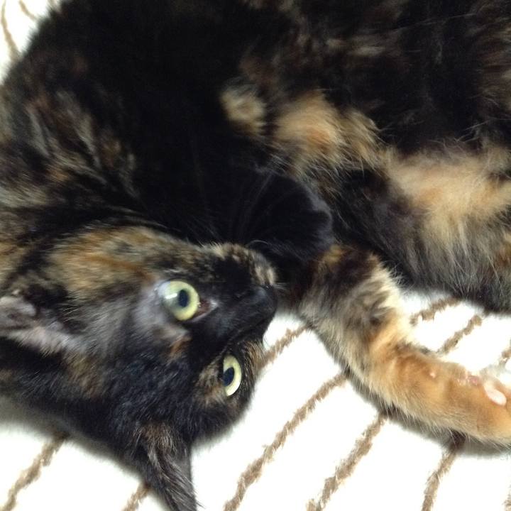 5fb960ac 1558 49eb b3dc 8c02364e45ba