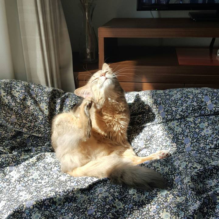 5fb98970 fced 448c aacf 28dad109c0e4