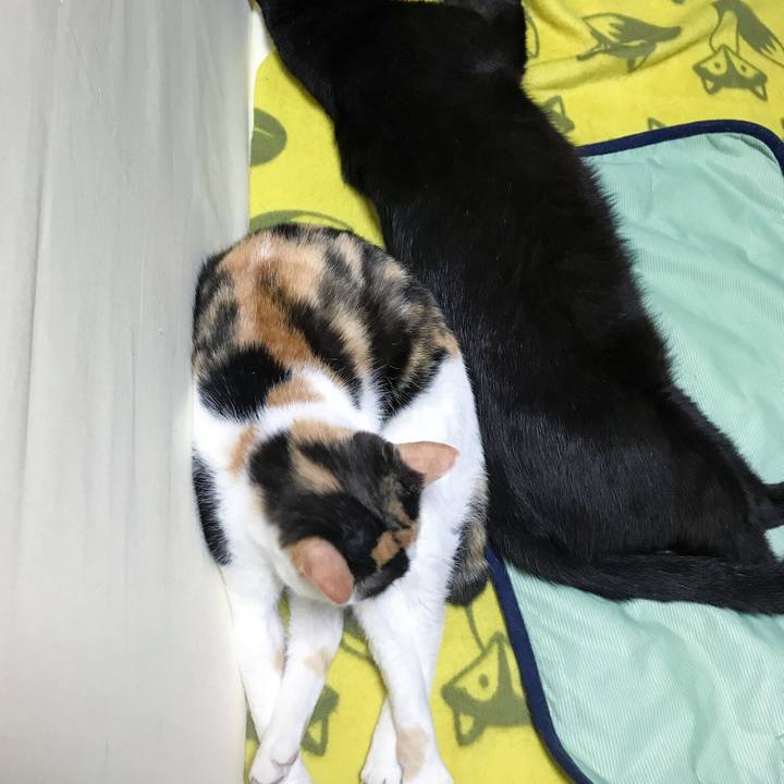 5fb9b0e2 e234 4f05 890b c00ed7848311