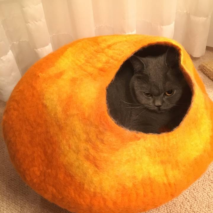 5fba4eca 1451 45c8 99c4 3f649c113150