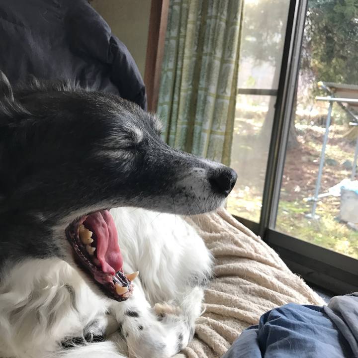 5fbaf630 21a3 4f09 9a03 521174a897dd